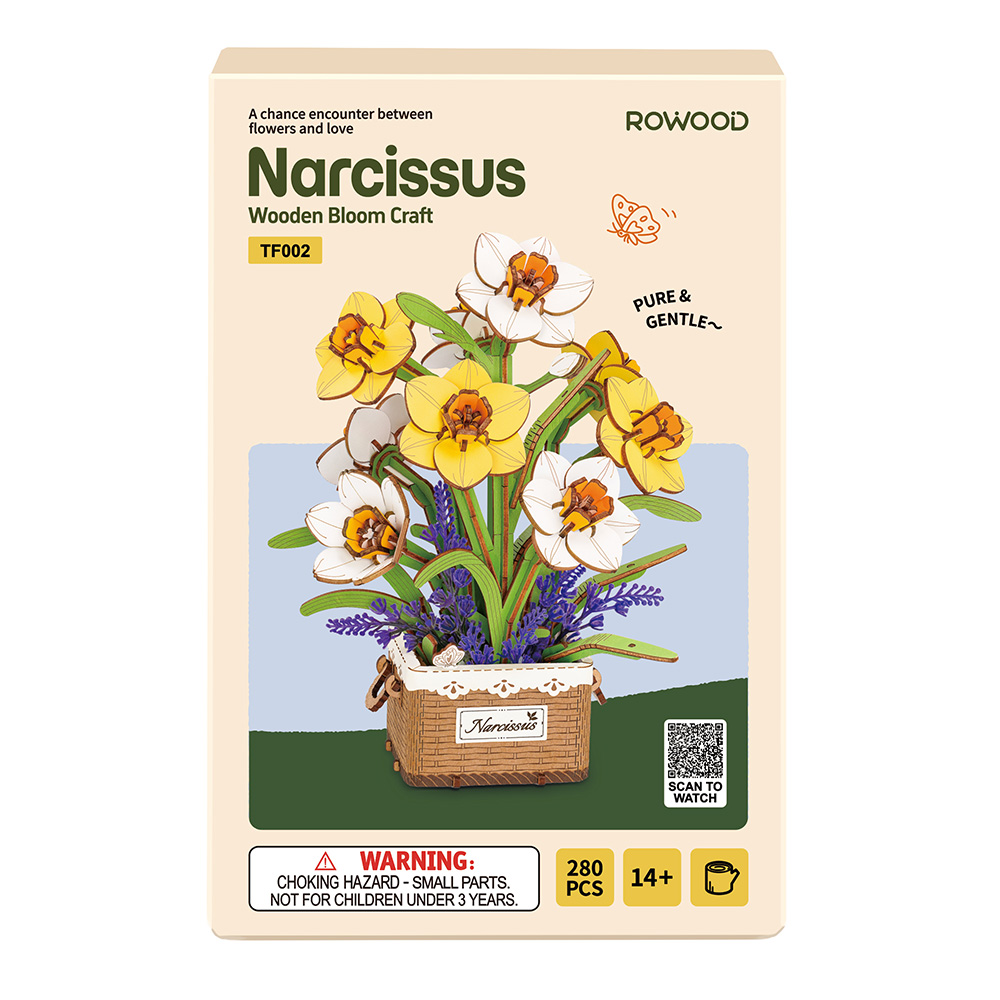 Narcissus