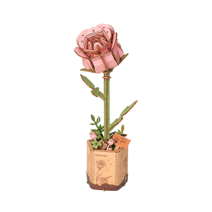 Pink Rose