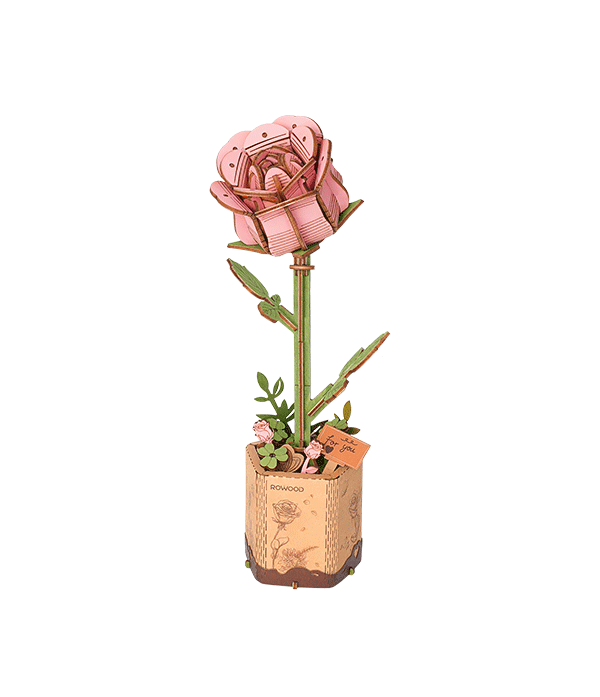 Pink Rose