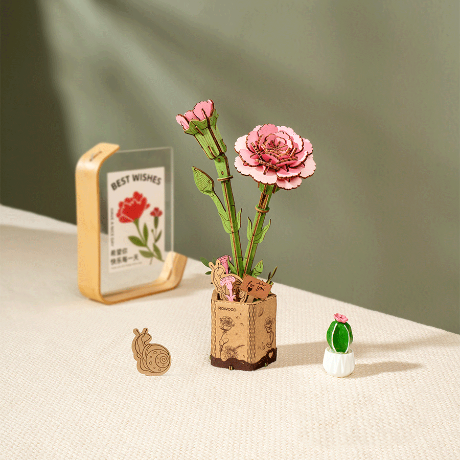 Pink Carnation