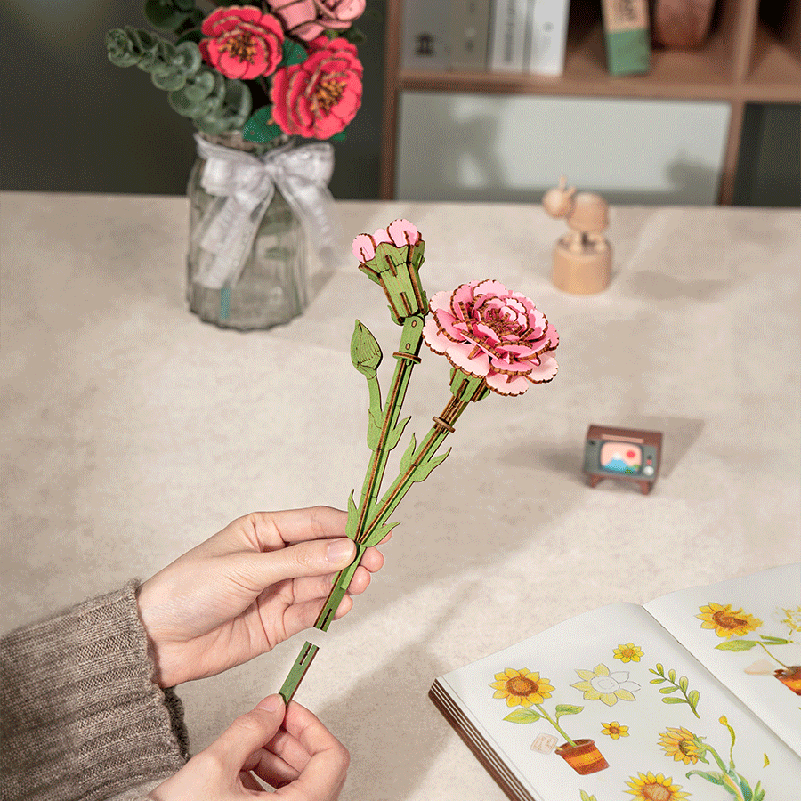 Pink Carnation