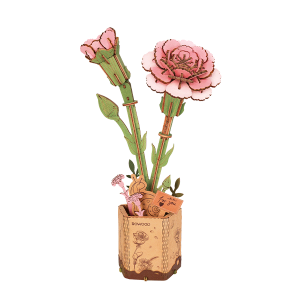 Pink Carnation