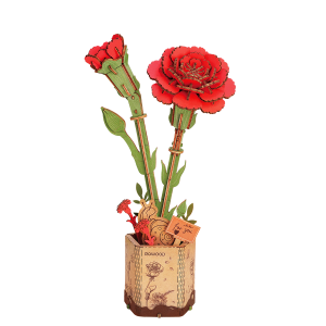 Red Carnation