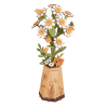 Chamomile