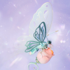 Pink Butterfly