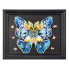 Morpho Helena