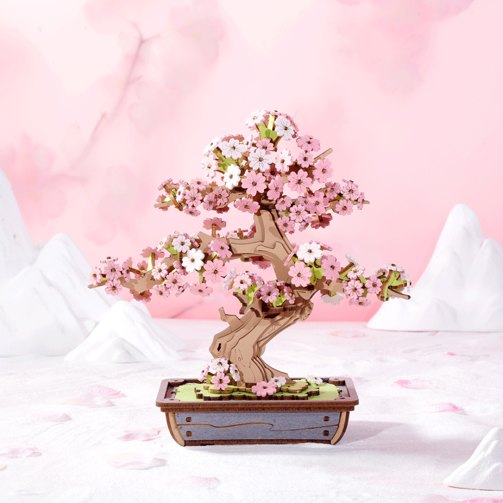 Sakura Bonsai