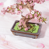 Sakura Bonsai