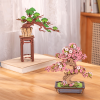 Sakura Bonsai
