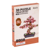 Sakura Bonsai