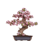 Rolife Sakura Bonsai DIY 3D Wooden Puzzle TG415