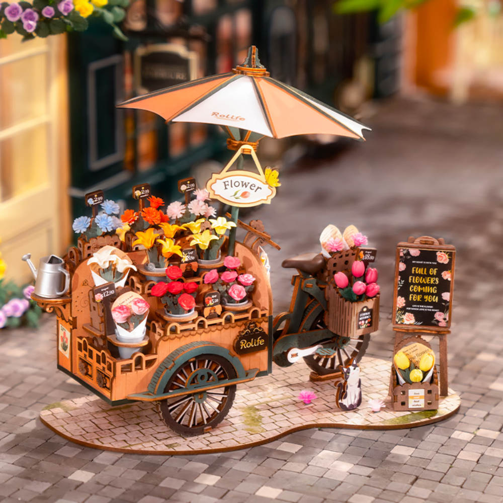 rolife 3d Holzpuzzle