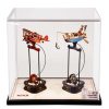 Balance Toy Display Showcase MCD1XZ (MCD01+MCD02)