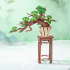 Evergreen Pine Bonsai TG510-A