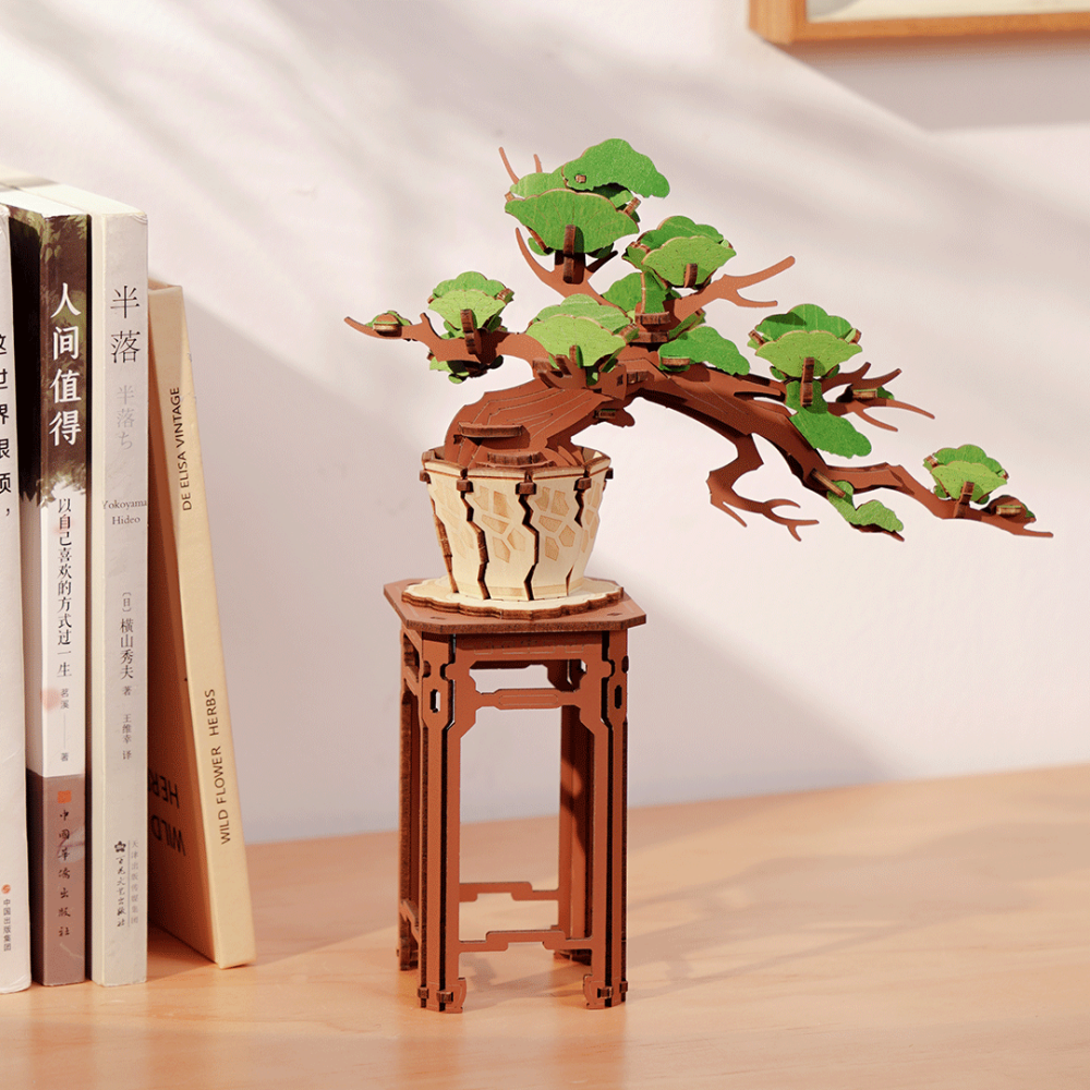 Evergreen Pine Bonsai TG510-A