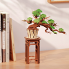Evergreen Pine Bonsai TG510-A