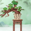 Evergreen Pine Bonsai TG510-A