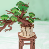 Evergreen Pine Bonsai TG510-A