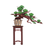 Rolife Evergreen Pine Bonsai DIY Wooden 3D Puzzle TG510