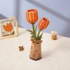 Orange Tulip TW081-B