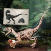 Velociraptor