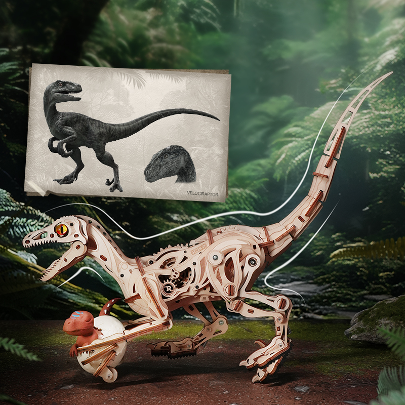 Velociraptor