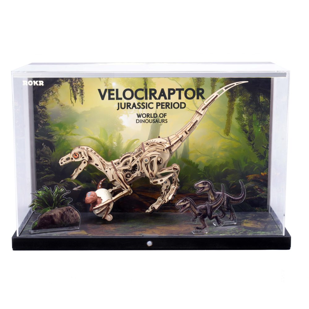 Velociraptor Display Showcase