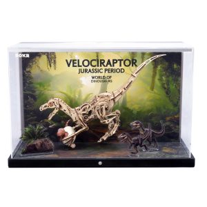 Velociraptor Display Showcase