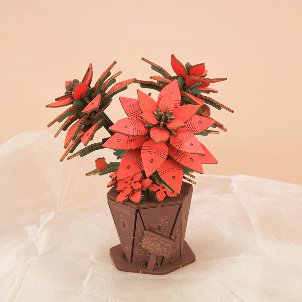 Poinsettia