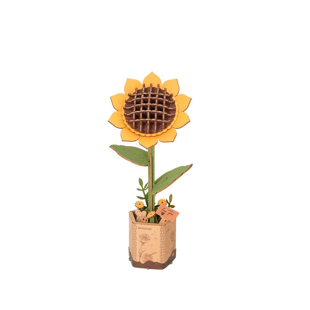Sunflower Big Display Showcase