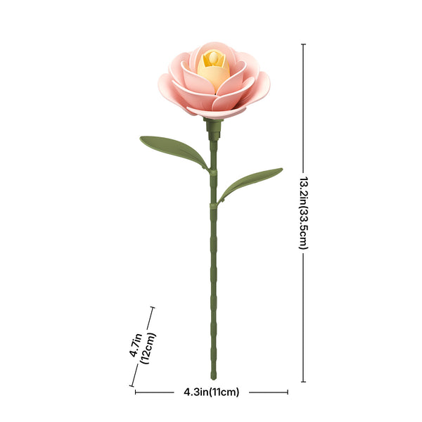 Light Pink Camellia