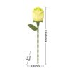 Green Rose