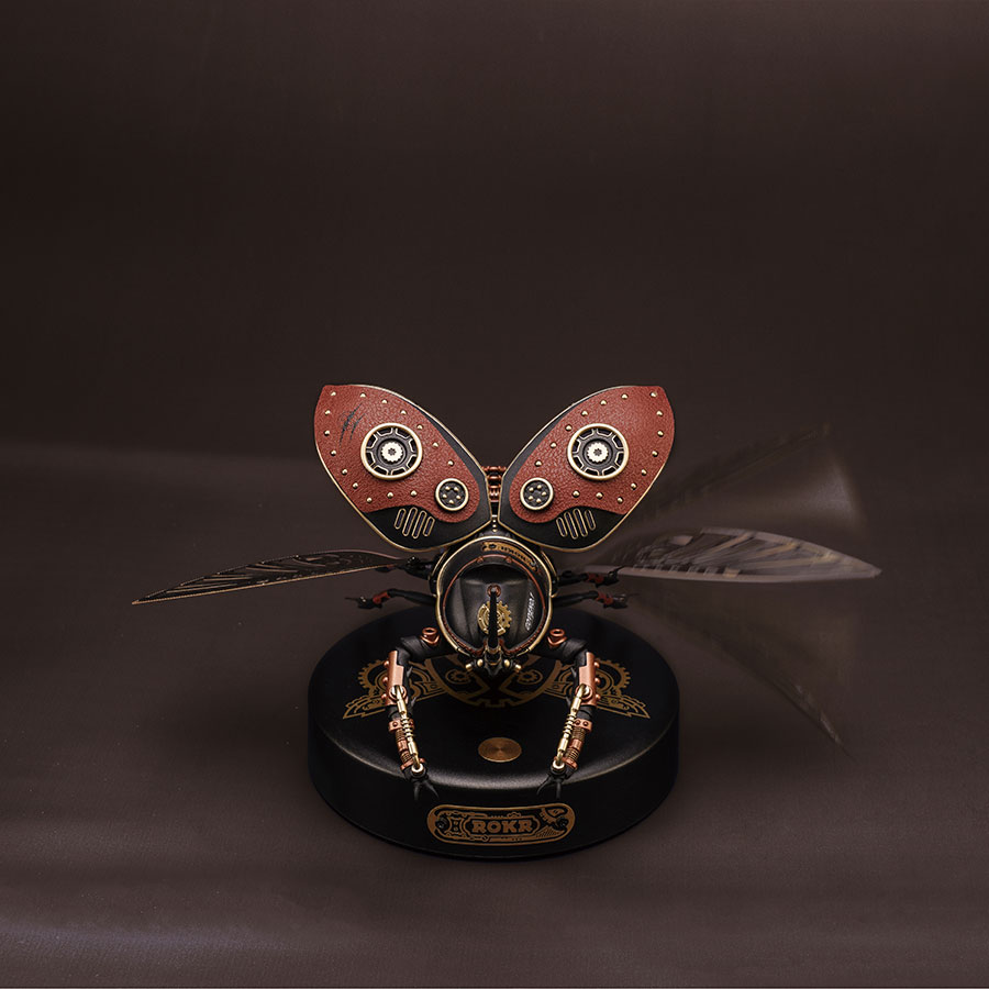 Rhinoceros Beetle