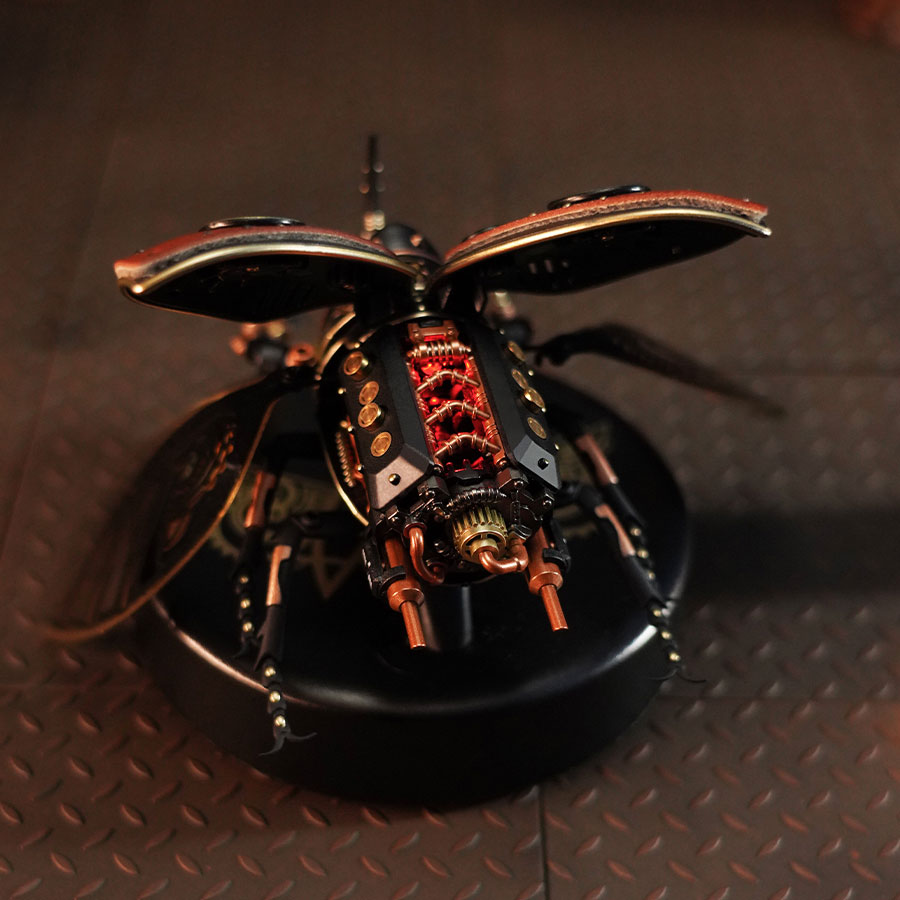 Rhinoceros Beetle