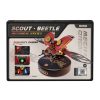 Scout Beetle