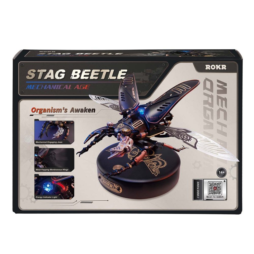 Stag Beetle