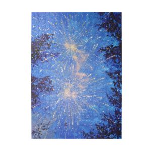 Rowood Sparkling Summer Night 1000 Piece Jigsaw Puzzle PT013