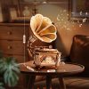AMK82-2 Diva Gramophone