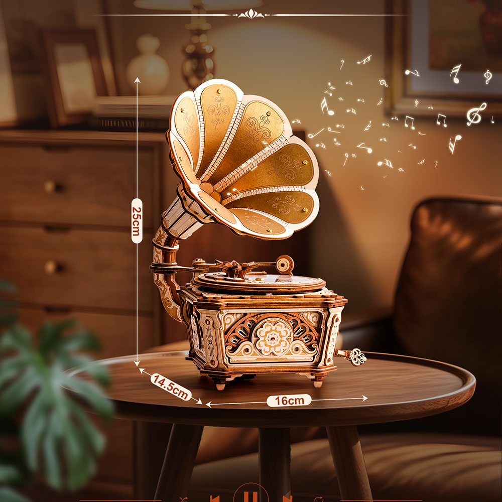 AMK82-2 Diva Gramophone
