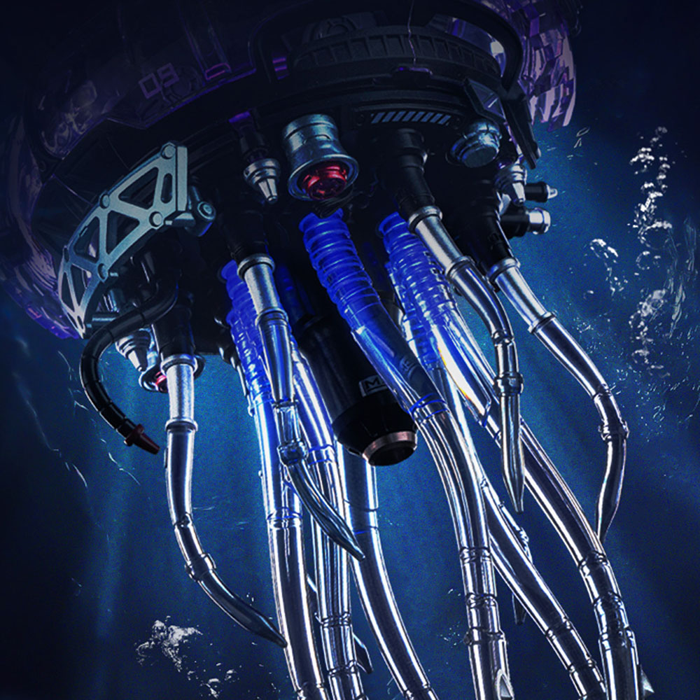Jellyfish
