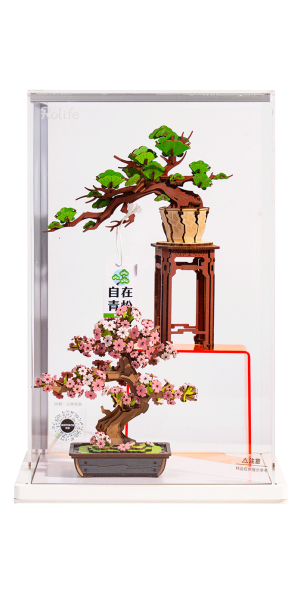 TYL17Z(TG415&TG510) - Wooden Puzzle Display Showcase